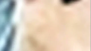 CAUSA 575 Shad Part 2